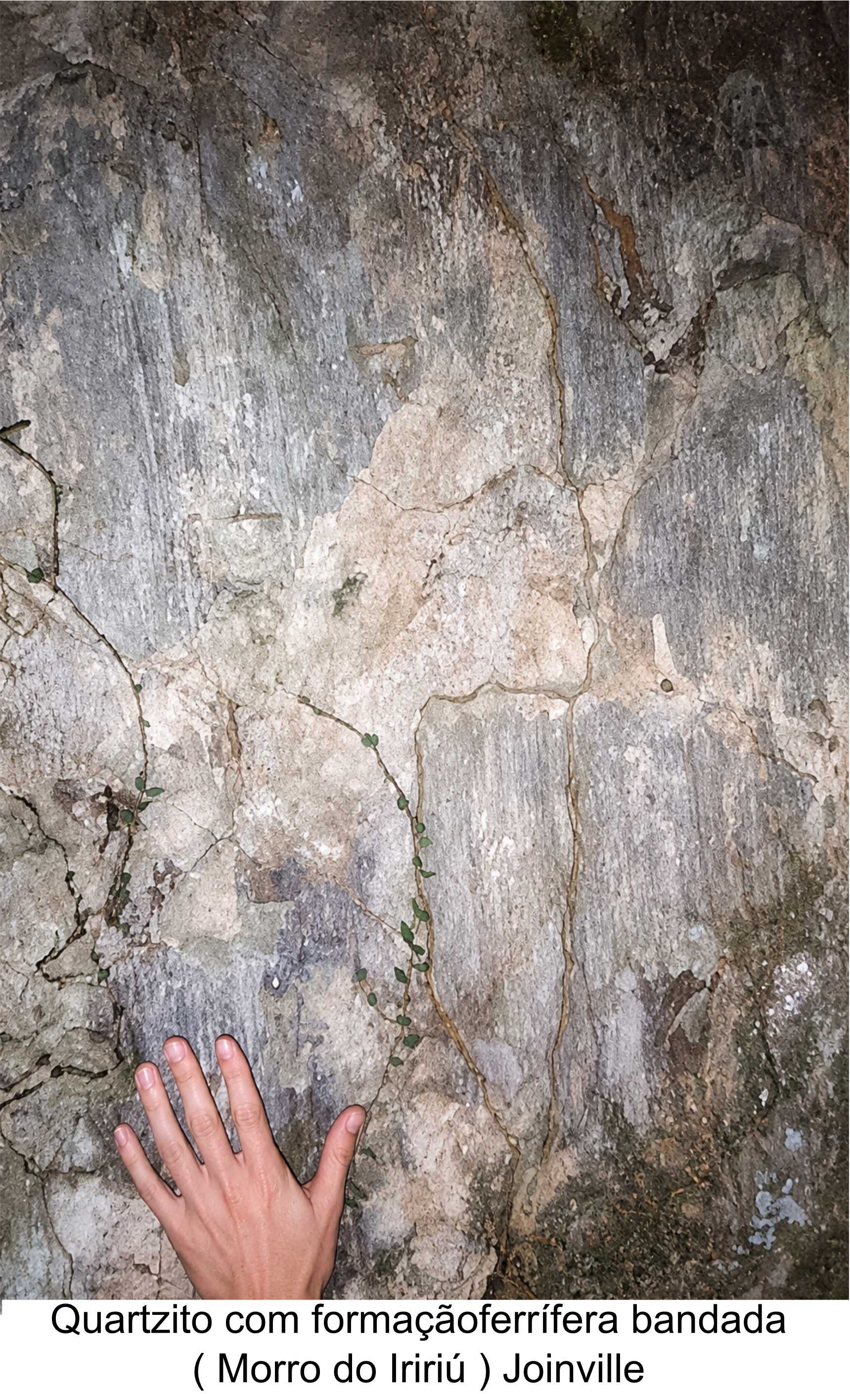 Quartzito - Foto - Mônica Lopes Gonçalves.jpg